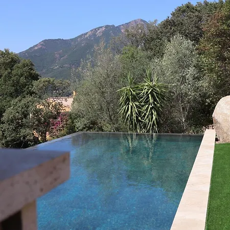 Villa Dellys - Piscine à Débordement&vue Eccica-Suarella (Corsica)