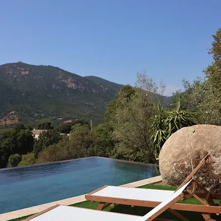 Villa Dellys - Piscine à Débordement&vue Eccica-Suarella (Corsica)
